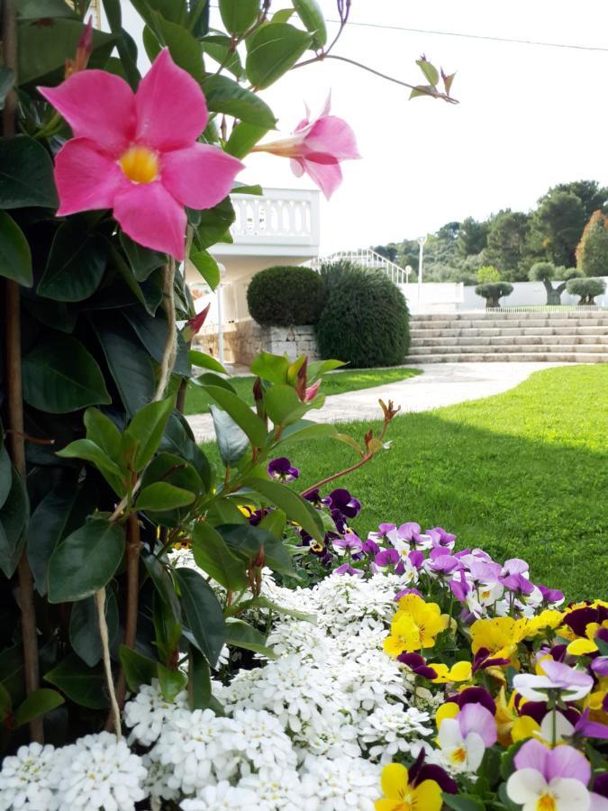 Villa Natia Моттола Экстерьер фото